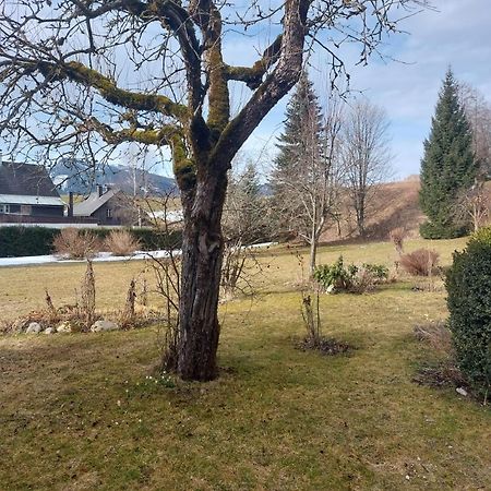 Ferienwohnung Salzafeld Bad Mitterndorf Exteriör bild
