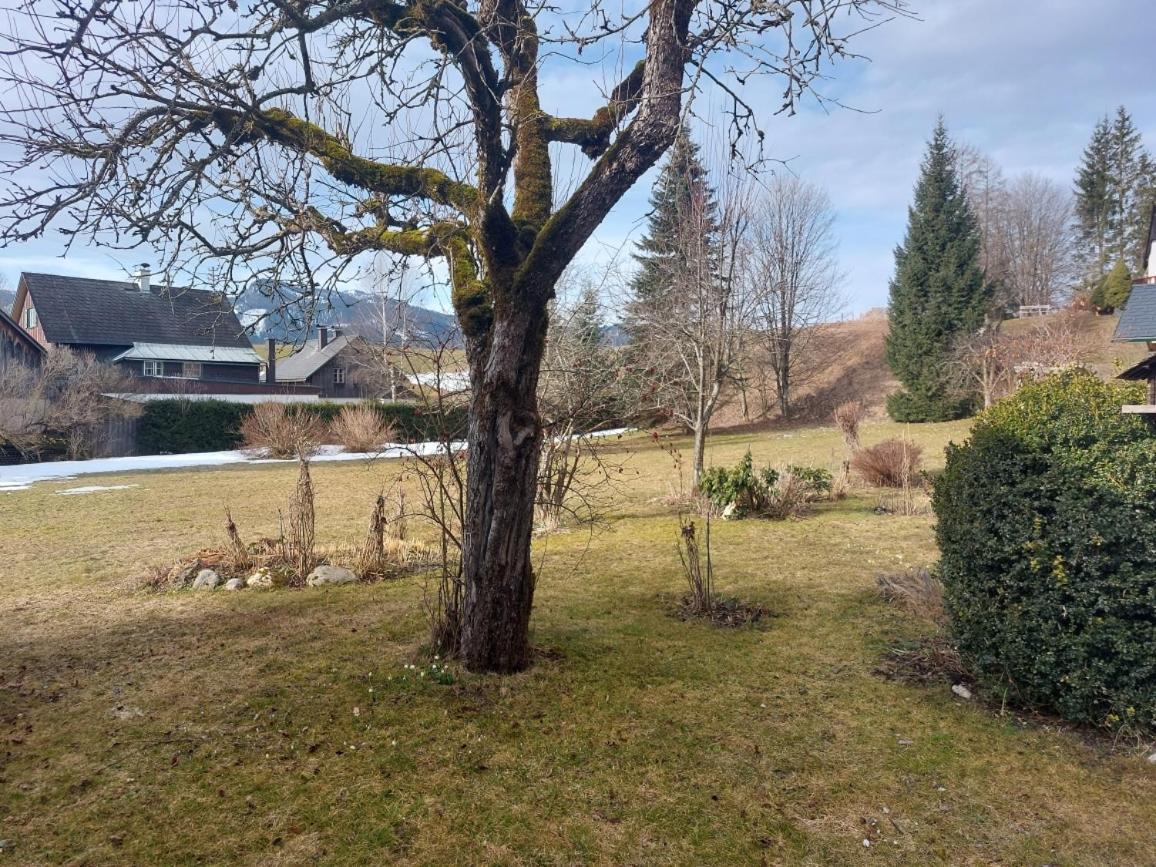 Ferienwohnung Salzafeld Bad Mitterndorf Exteriör bild